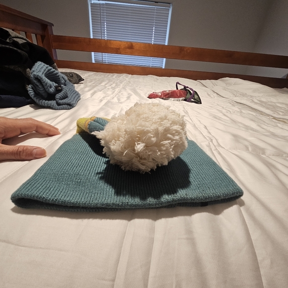 Beanie - Picture 4 of 4